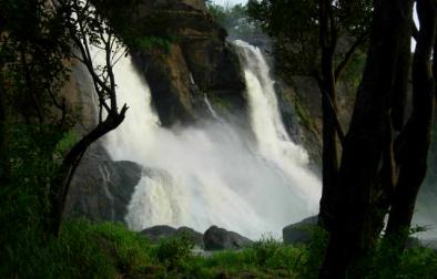 Kovalam, Trivandrum , Alleppey, Kumarakom , Thekkady, Munnar, Athirapally , Cochin