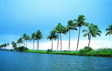 Alleppey, Kumarakom , Cochin